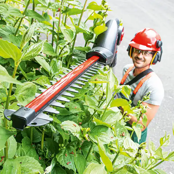 Bild 2 von Walter Li-Ion Akku-Hochentaster /-Heckenschere 2in1