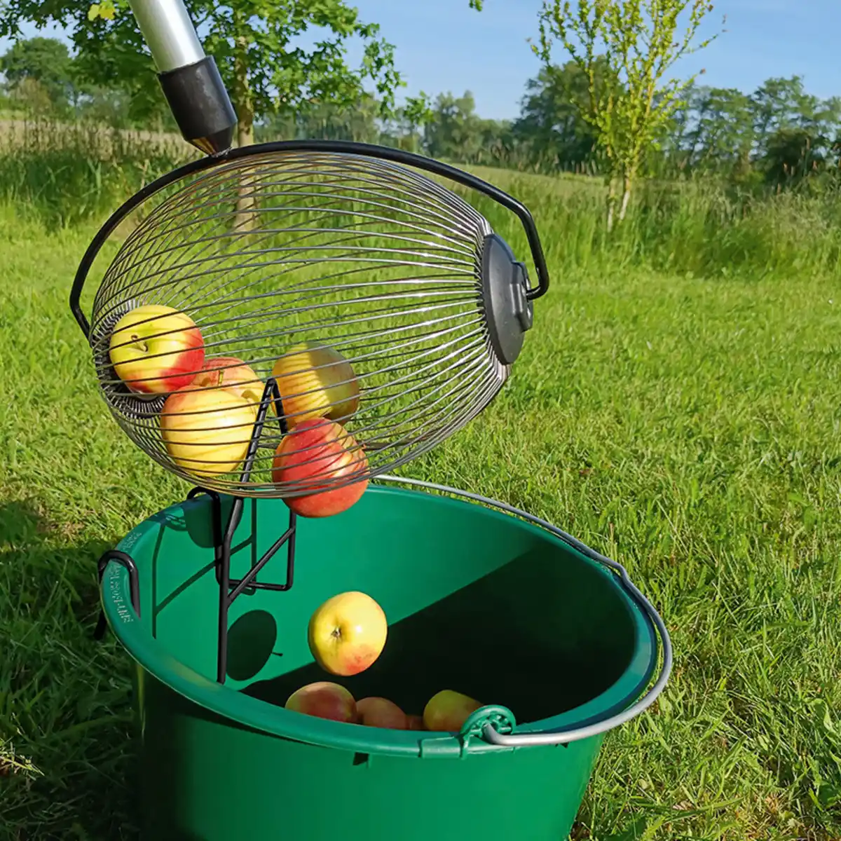 Bild 2 von Powertec Garden Rollsammler