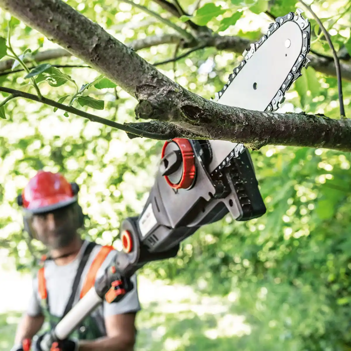 Bild 1 von Walter Li-Ion Akku-Hochentaster /-Heckenschere 2in1