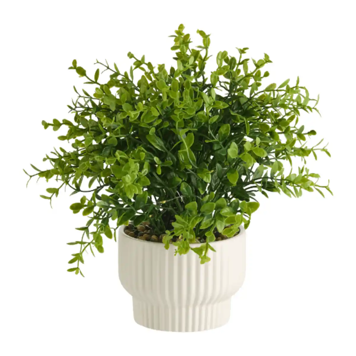 Bild 3 von HOME CREATION LED-Kunstpflanze