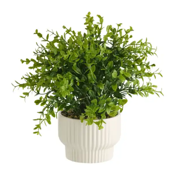 Bild 3 von HOME CREATION LED-Kunstpflanze