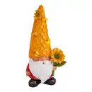 Bild 1 von Light & More LED Solarleuchte Zwerg bunt