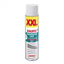 Bild 1 von Baufix Heizkörper Lack