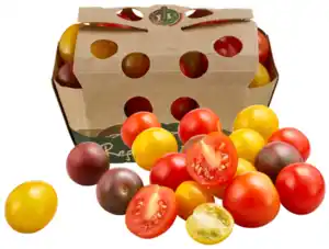 Cherrytomaten bunt