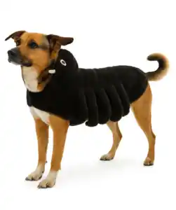 Hundekostüm Halloween, schwarz