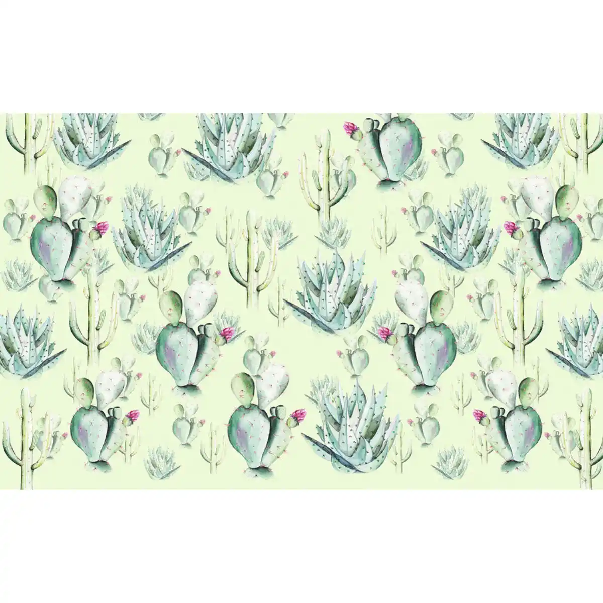 Bild 1 von Xora Vliestapete, Grün, Kaktus, 400x250 cm, Fsc, Tapeten & Wandverkleidungen, Vliestapeten