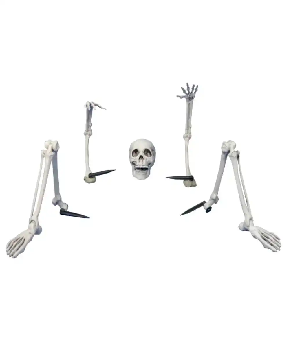 Bild 1 von Deko-Skelett Halloween, weiß