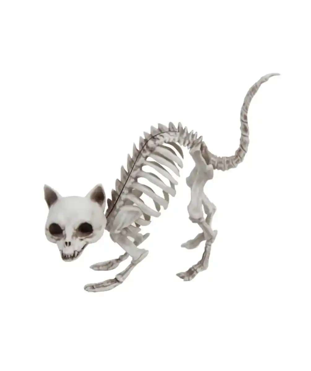 Bild 1 von Katzenskelett Halloween, weiß