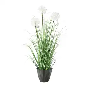 Kunstpflanze Daisy mit Übertopf, ca. 78cm, Grün, Weiß