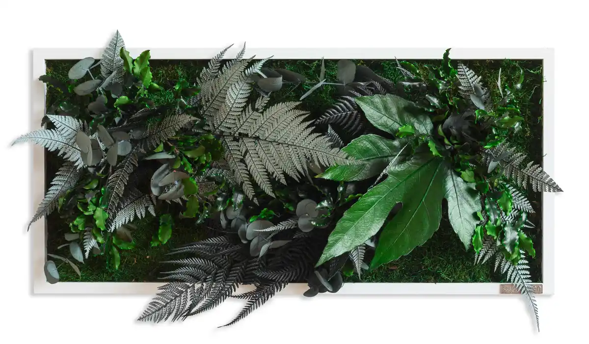 Bild 1 von Moosbild Grün, Grün