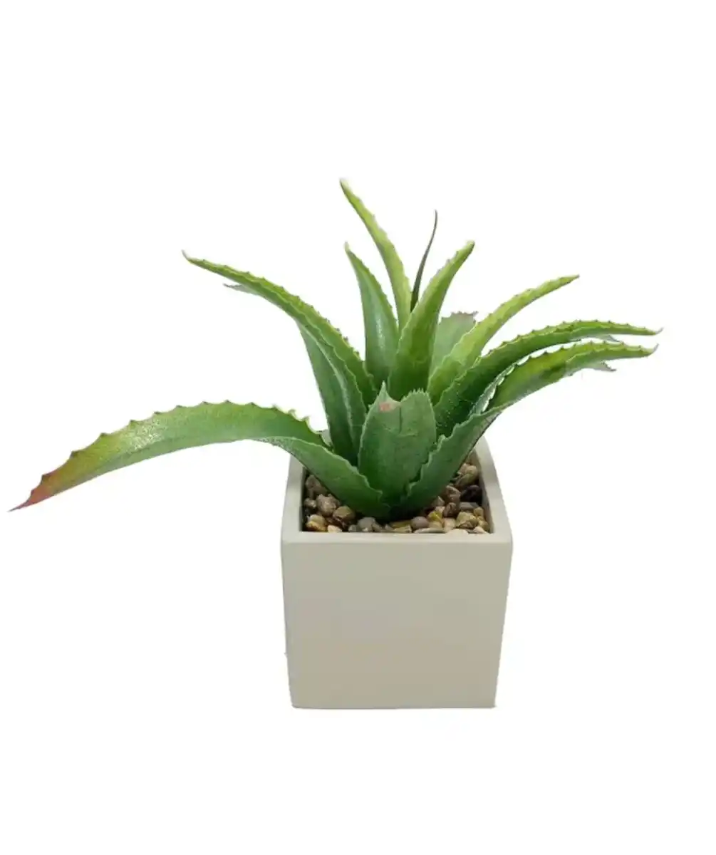 Bild 1 von Kunstpflanze im Zementtopf, grün