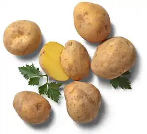 Dtsch. Speisekartoffeln, lose, kg