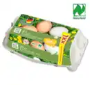 Bild 1 von NATURGUT Bio Eier*