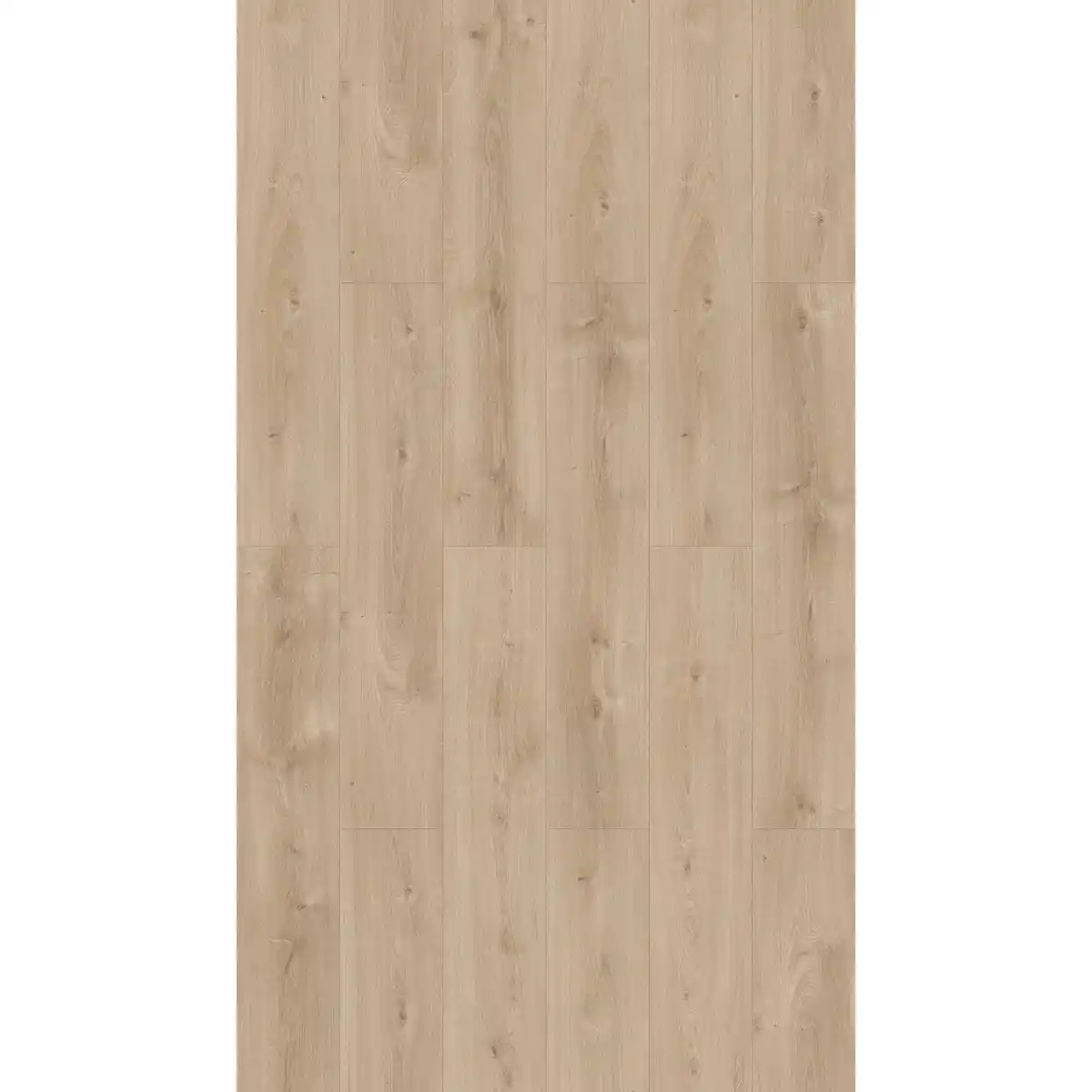 Bild 3 von Parador Basic 600 Laminat 8 mm Wasserfest Eiche Avant Geschliffen