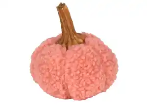 Deko-Kürbis Teddyfell