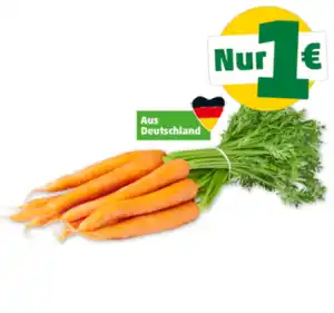 Deutsche Bundmöhren*