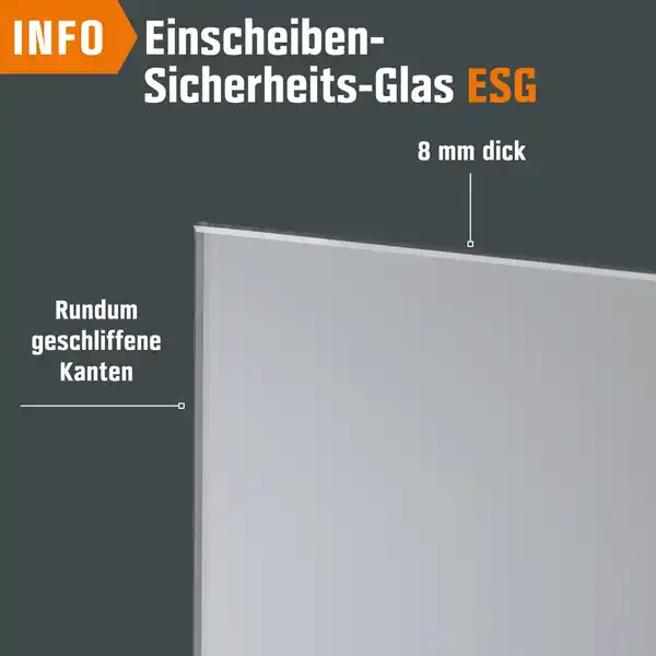 Bild 4 von Glasdrehtür ESG Floatglas Dekor Siebdruck 36/16 DIN Rechts 1972 x 834 x 8 mm