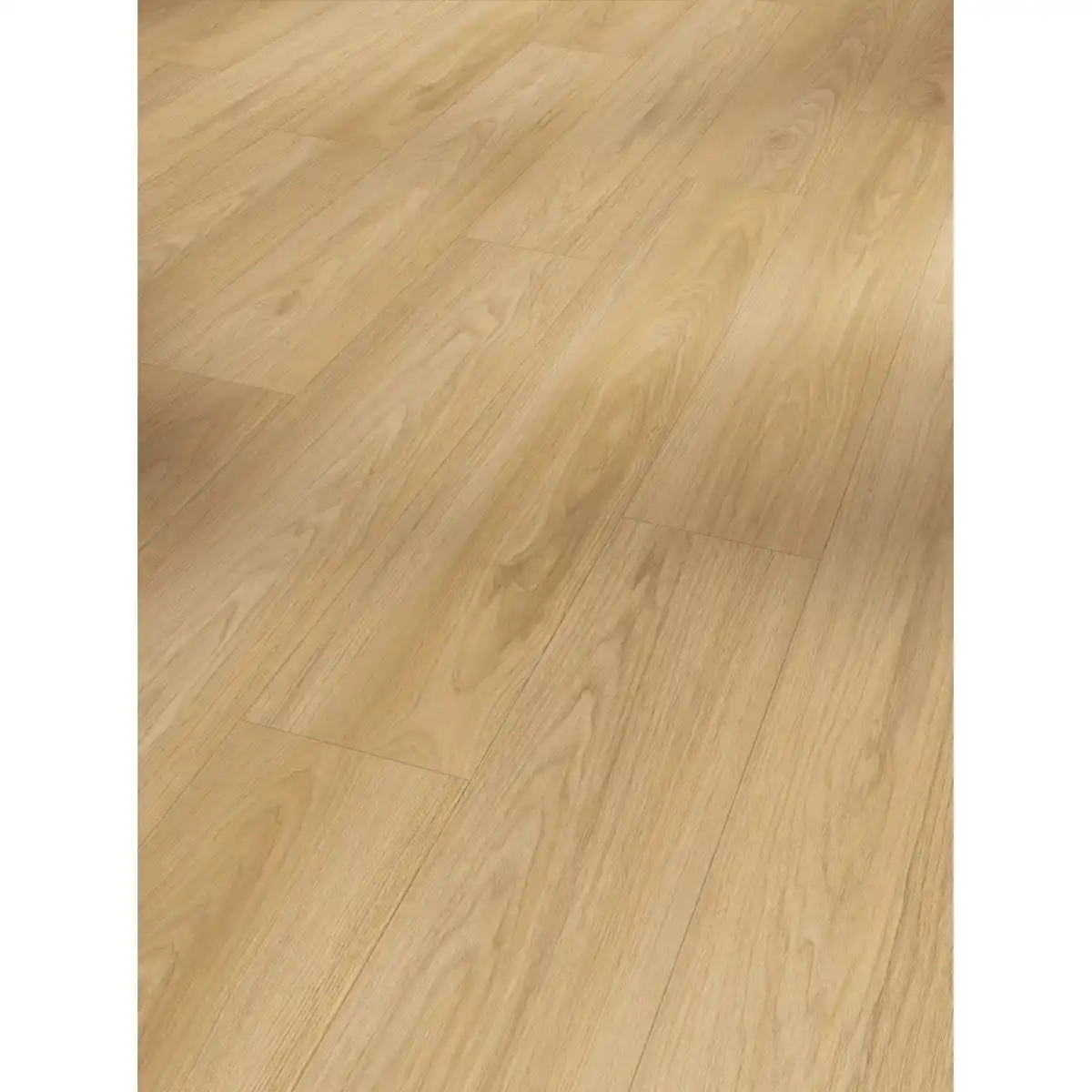 Bild 2 von Parador Basic 400 Laminat 8 mm Wasserfest Hickory