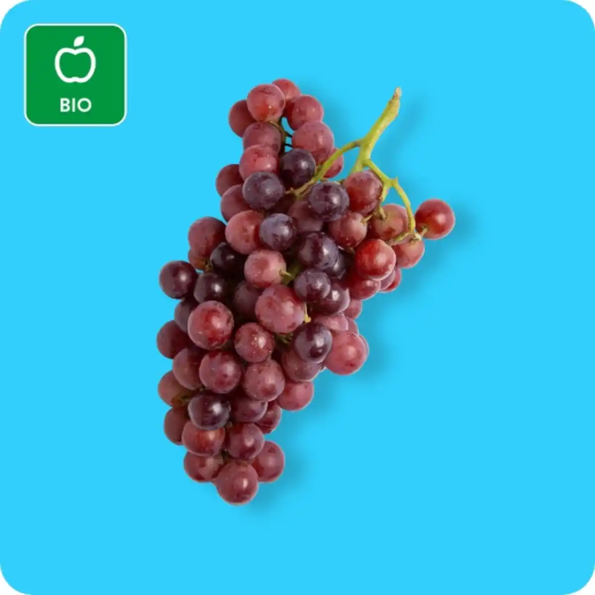 Bild 1 von   Bio Naturland Trauben, Dunkle oder helle Trauben