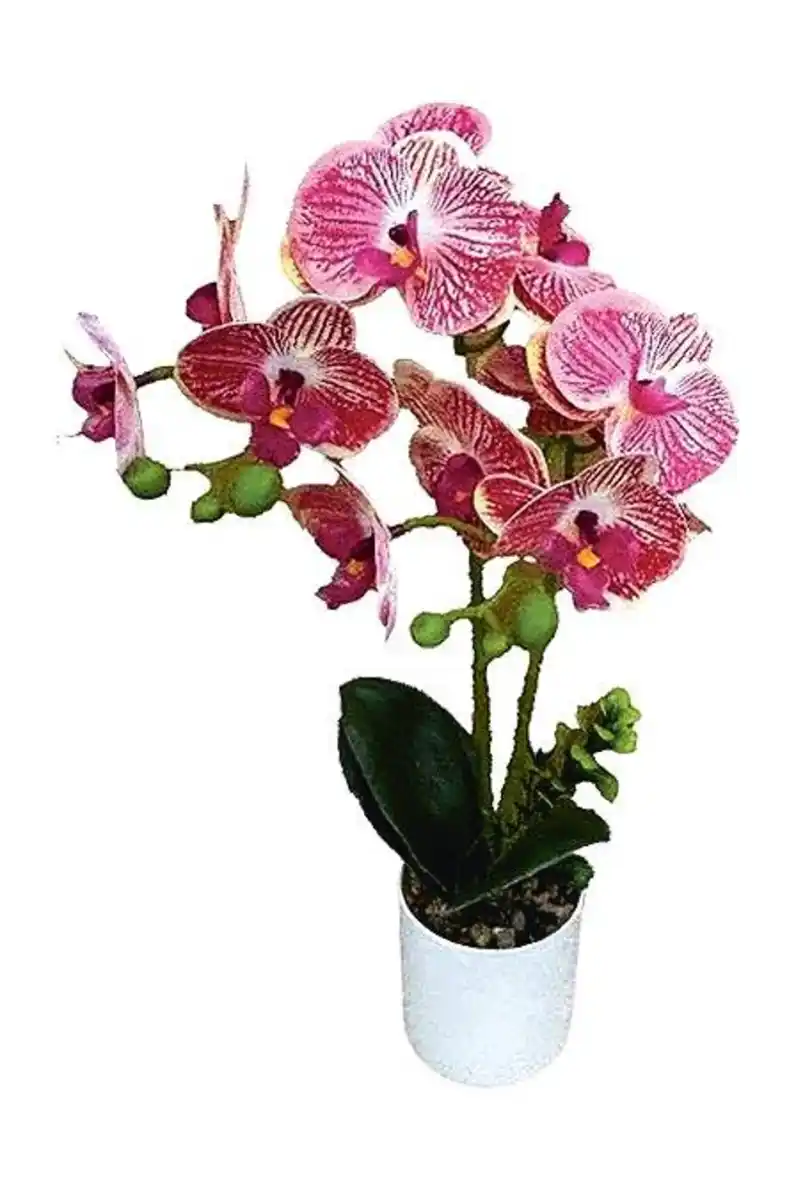 Bild 3 von künstliche Orchidee