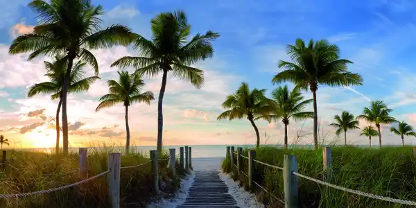 Bild 2 von Keilrahmen ca. 50 x 100 cm