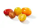 Bild 1 von Tomaten Mix,  500 g
