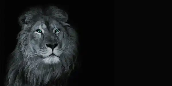 Bild 4 von Keilrahmen ca. 50 x 100 cm