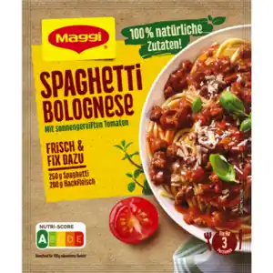 Maggi Fix, Herzensküche oder Food Travel Würzpaste