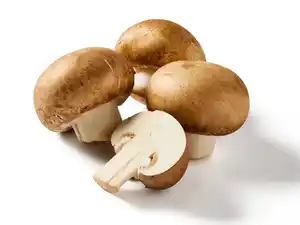 Braune Bio Kulturchampignons,  250 g