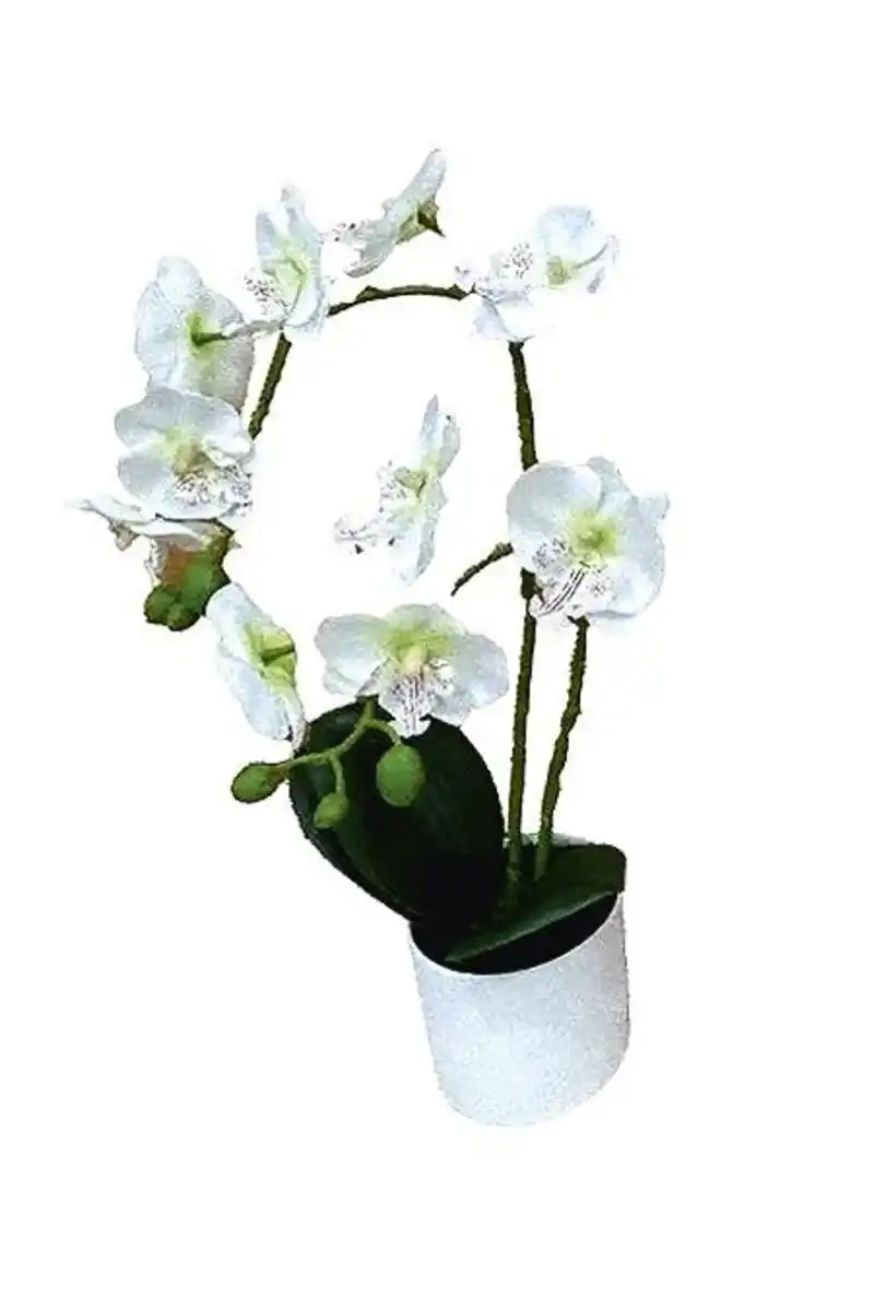 Bild 2 von künstliche Orchidee