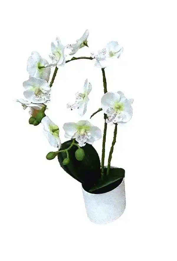 Bild 2 von künstliche Orchidee