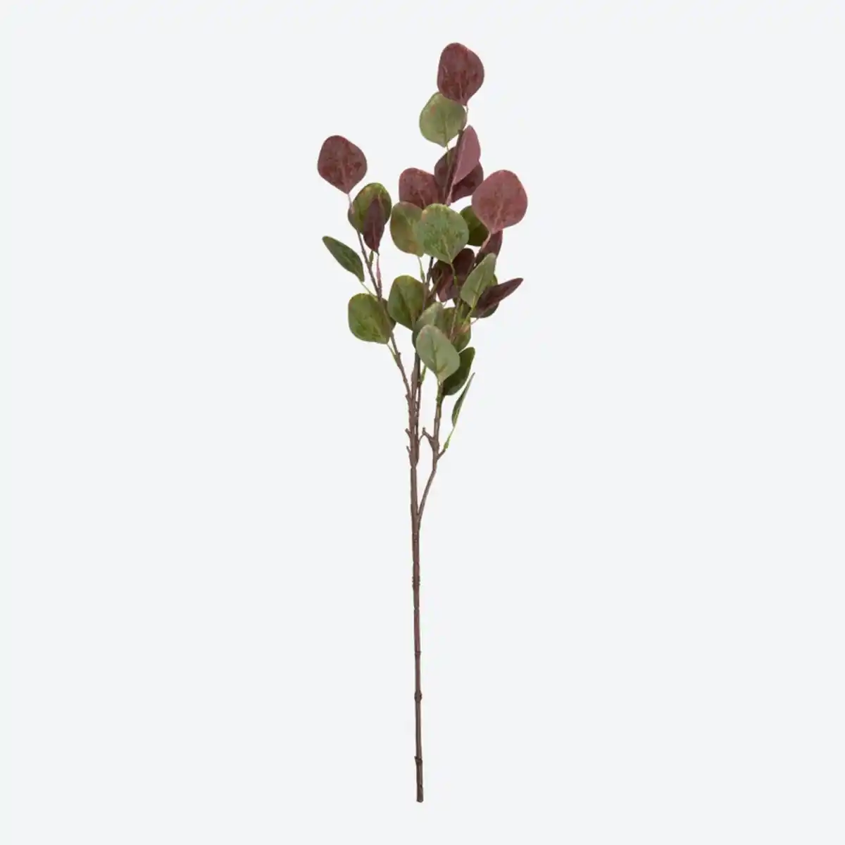 Bild 2 von Kunstzweig Eukalyptus zweifarbig, ca. 68 cm