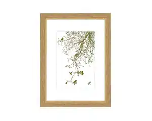 Bilderrahmen Modern Eiche Holz 15x21cm