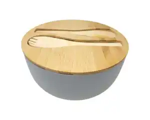Schüssel m. Deckel u. Besteck Ø23,5