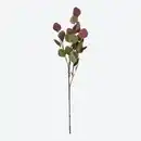 Bild 1 von Kunstzweig Eukalyptus zweifarbig, ca. 68 cm