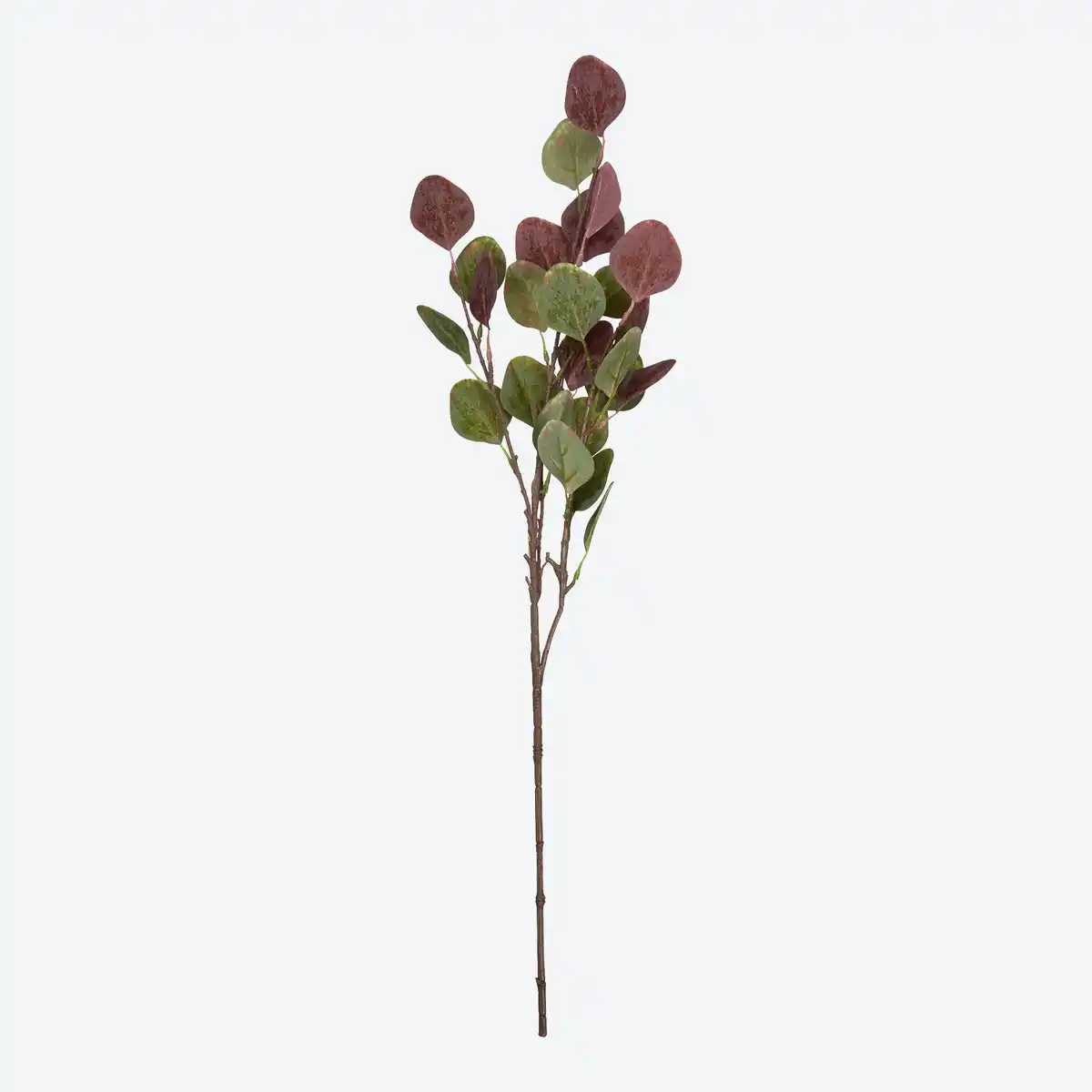 Bild 1 von Kunstzweig Eukalyptus zweifarbig, ca. 68 cm