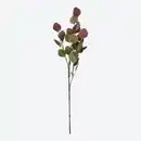 Bild 4 von Kunstzweig Eukalyptus zweifarbig, ca. 68 cm