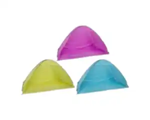 Strandmuschel verschiedene Farben