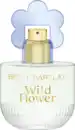 Bild 1 von Betty Barclay Wild Flower, EdT 20 ml