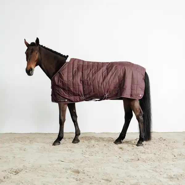 Bild 1 von Stalldecke COMBO 50 Pferd/Pony bordeaux