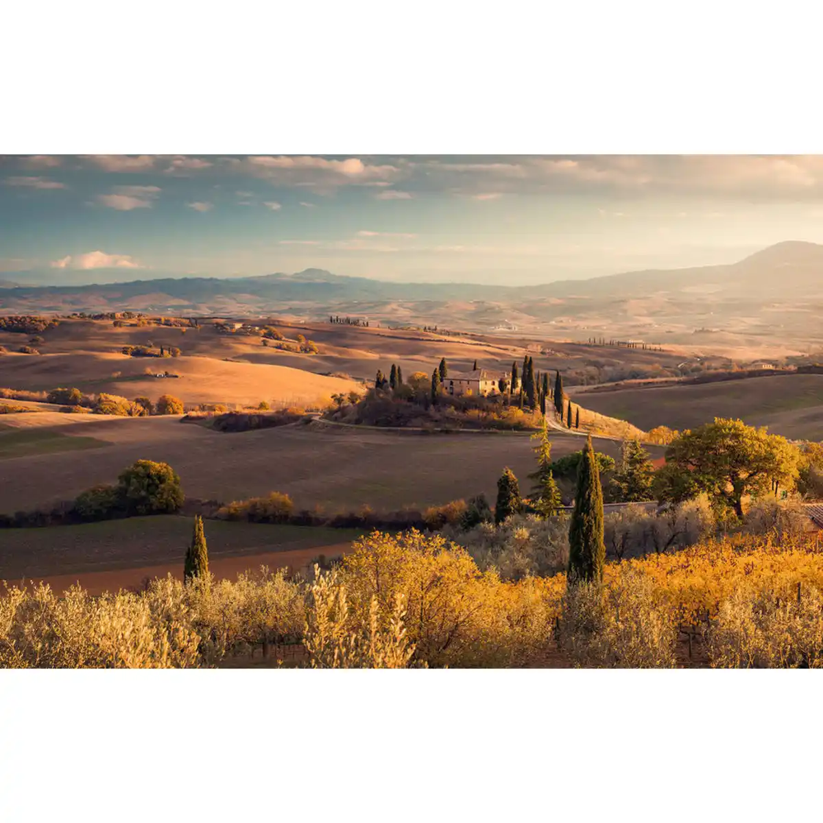 Bild 1 von Komar Vliestapete, Skyline, 400x250 cm, FSC Mix, Tapeten & Wandverkleidungen, Vliestapeten