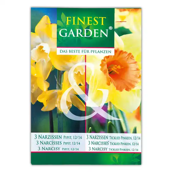Bild 4 von Finest Garden "Farbsensation" oder "Chamäleon"