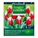 Bild 2 von Finest Garden "Wundervoll"
