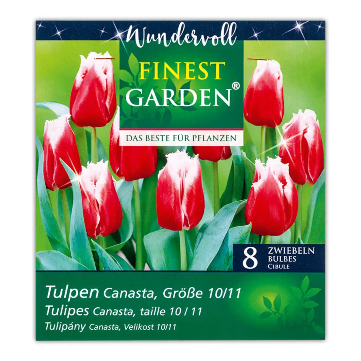 Bild 2 von Finest Garden "Wundervoll"