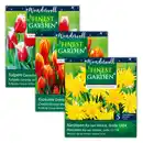 Bild 1 von Finest Garden "Wundervoll"