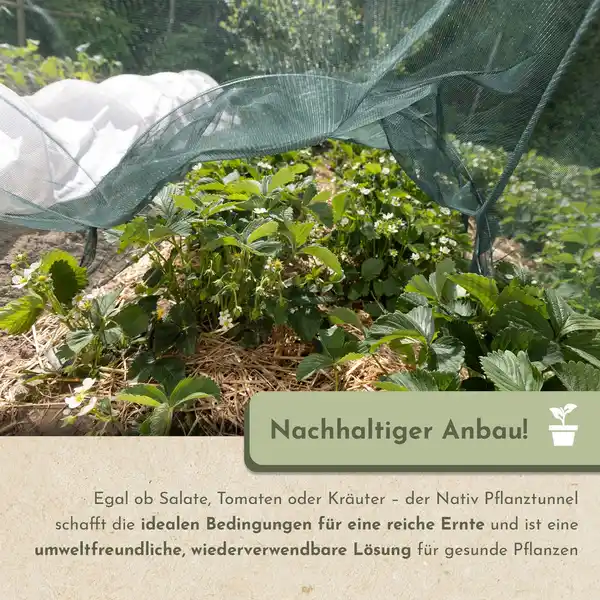 Bild 4 von Pflanztunnel 2er Set mit Metallbögen, Gartentunnel 250x60x55cm, Netztunnel