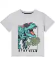 Bild 1 von T-Shirt Dino, hellgrau melange