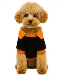 Hundekostüm Halloween, schwarz/orange