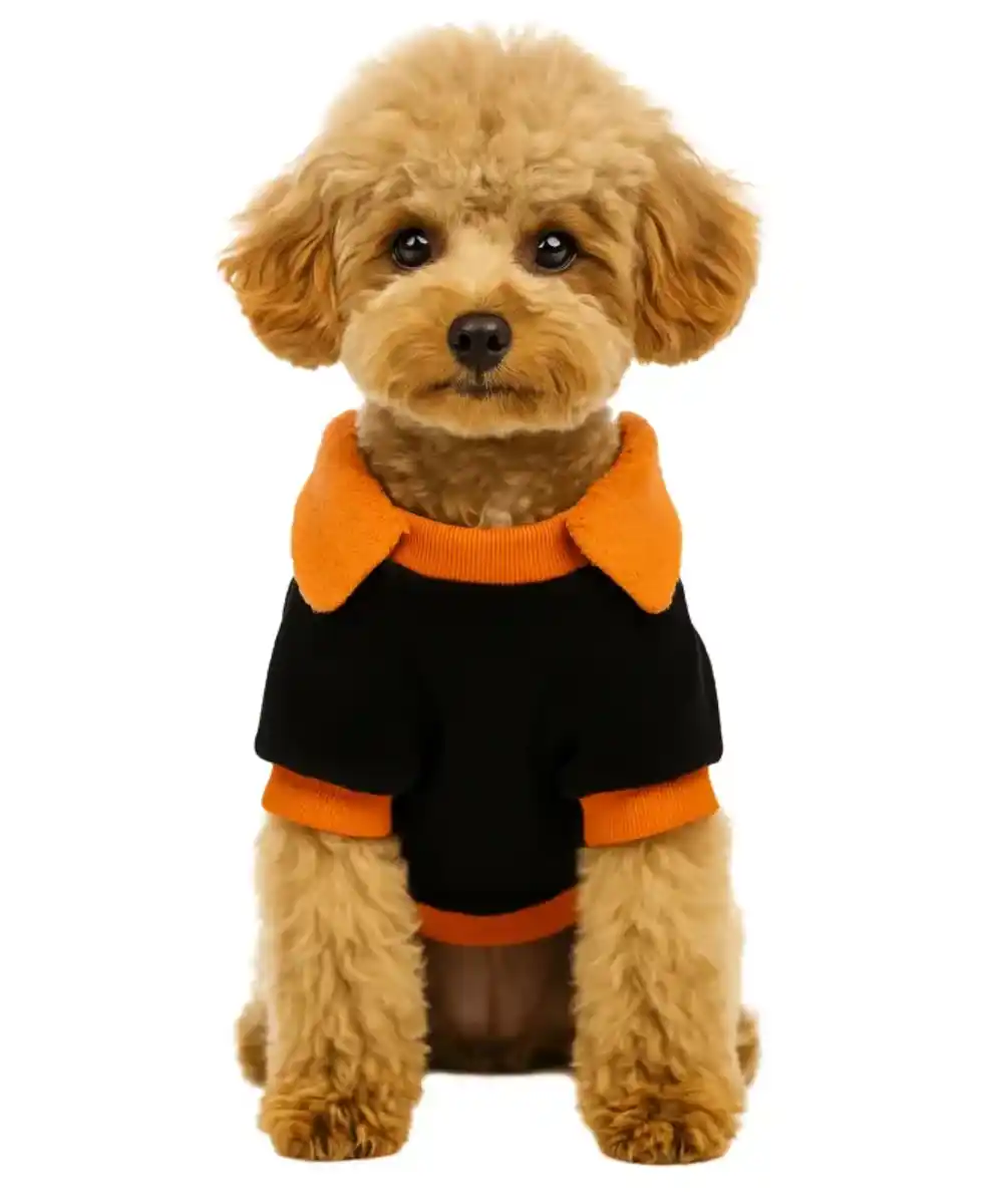 Bild 1 von Hundekostüm Halloween, schwarz/orange