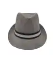 Bild 1 von Hut im Fedora-Stil, grau